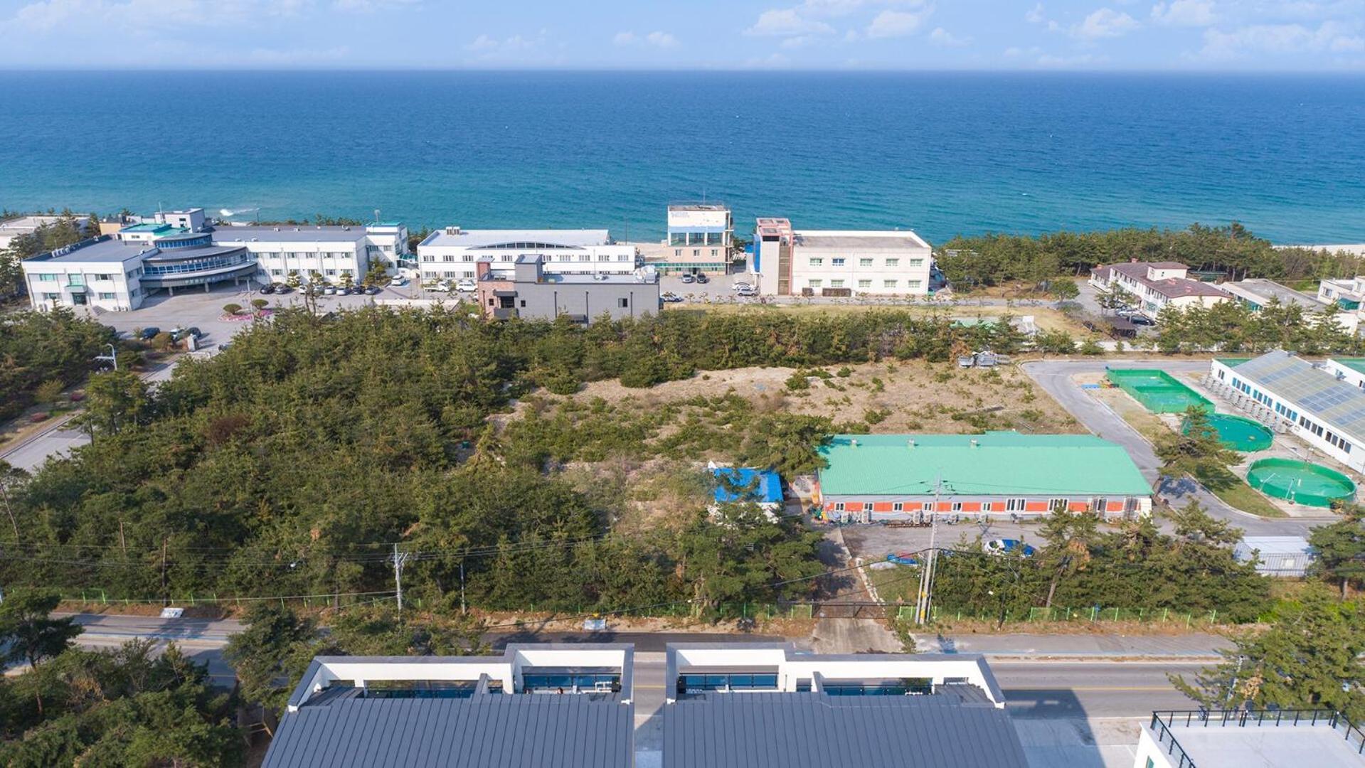 Gangneung Joeungot Poolvilla Exteriér fotografie